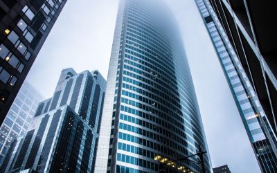 Cryptomonnaies vertes : l’essor des monnaies numériques éco-responsables