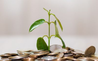 Les enfants peuvent-ils investir dans les cryptomonnaies ? Ce que vous devez savoir