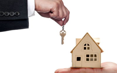 Immobilier 2024, rendement record malgré volumes en baisse, opportunités vertes